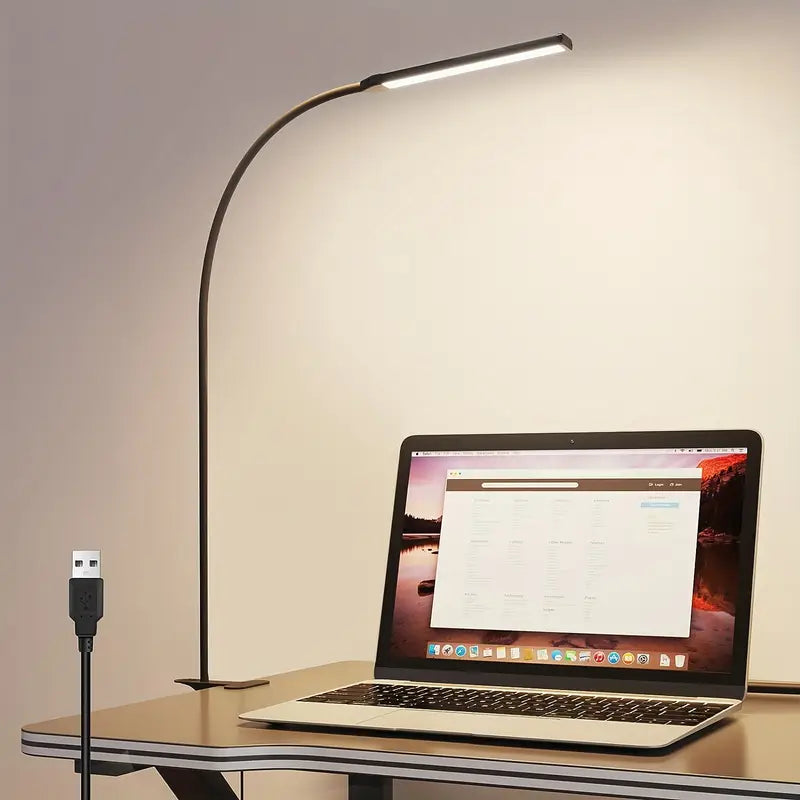 LED Desk Lamp