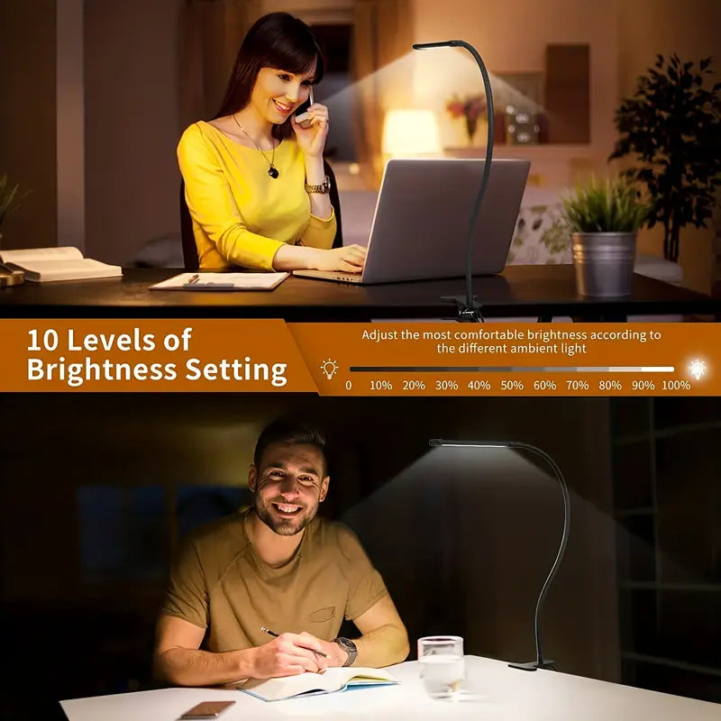 LED Desk Lamp